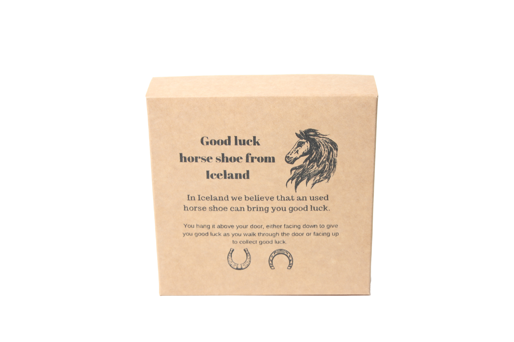 Good Luck Icelandic Horse Shoe