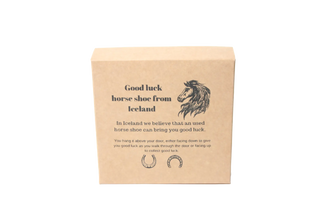 Good Luck Icelandic Horse Shoe Lucky Coin