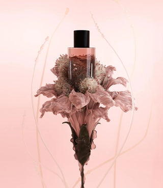 Fichersund No. 1  Fragrance