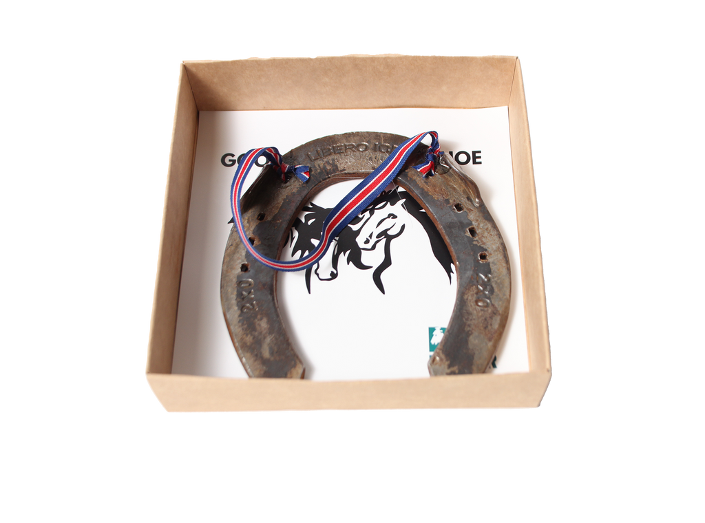 Good Luck Icelandic Horse Shoe