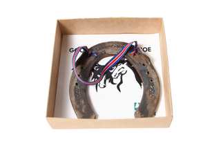 Good Luck Icelandic Horse Shoe Lucky Coin