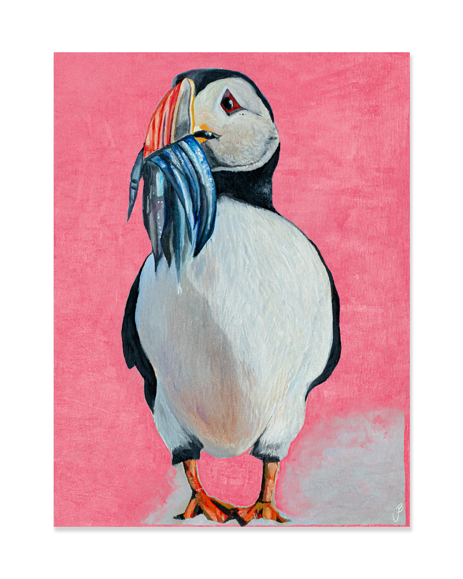 Jói Björgvins Puffin Poster