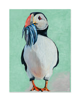Jói Björgvins Puffin Postcard Jói Björgvins