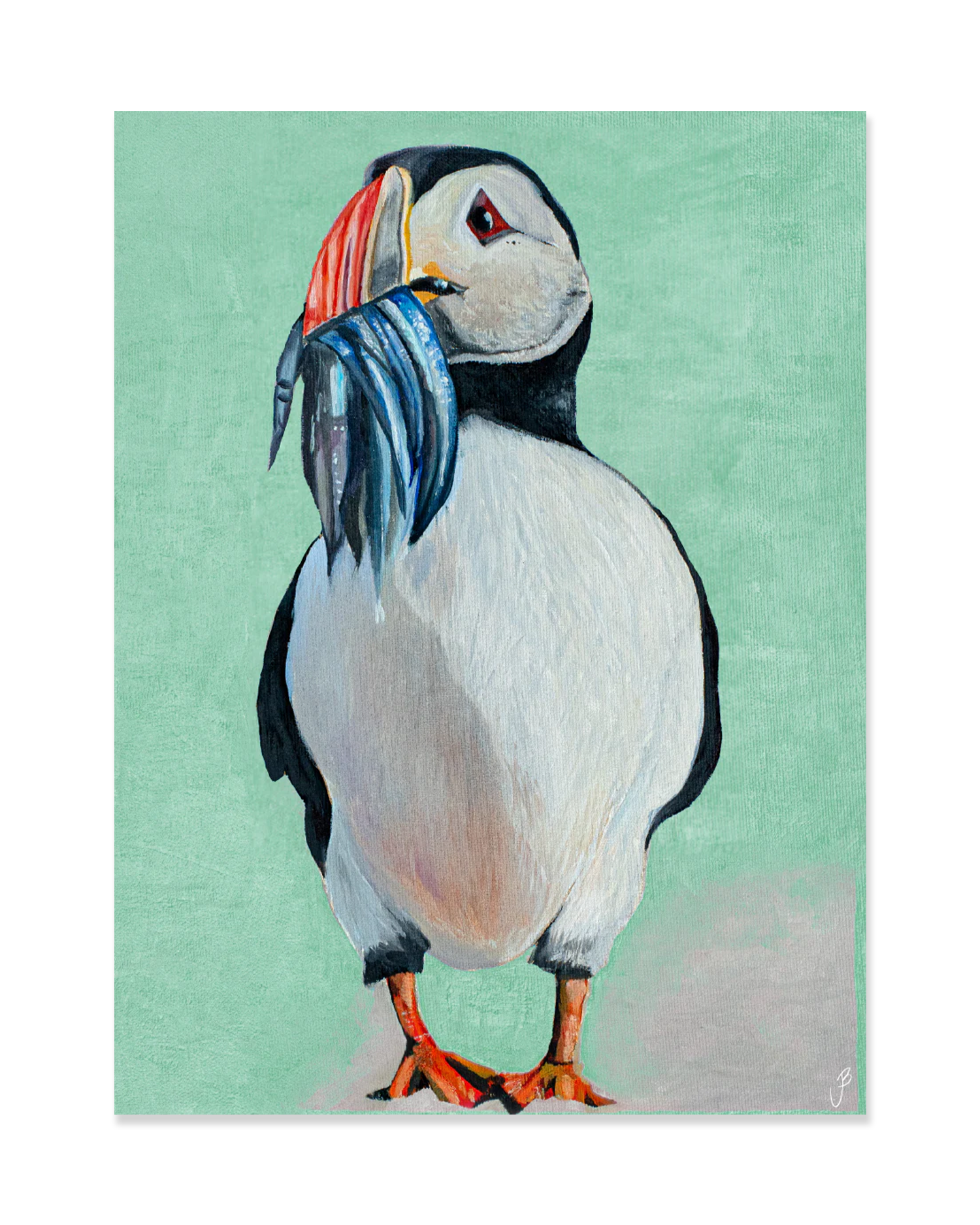 Jói Björgvins Puffin Poster