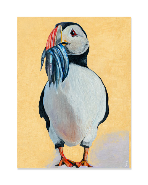 Jói Björgvins Puffin Postcard