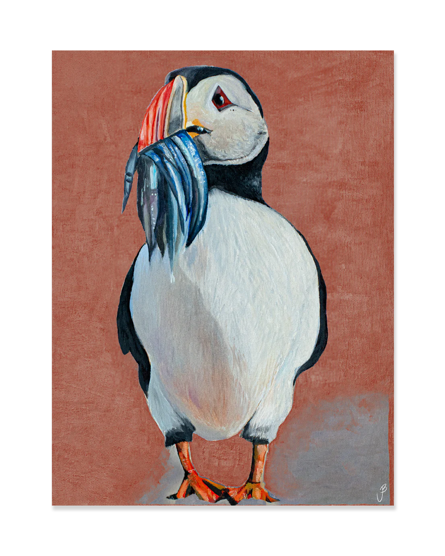 Jói Björgvins Puffin Postcard