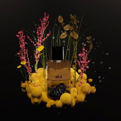 Fischersund no. 8 Fragrance