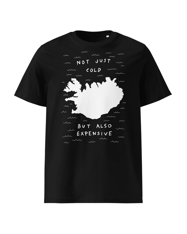 Dagsson Not Just Cold T-Shirt