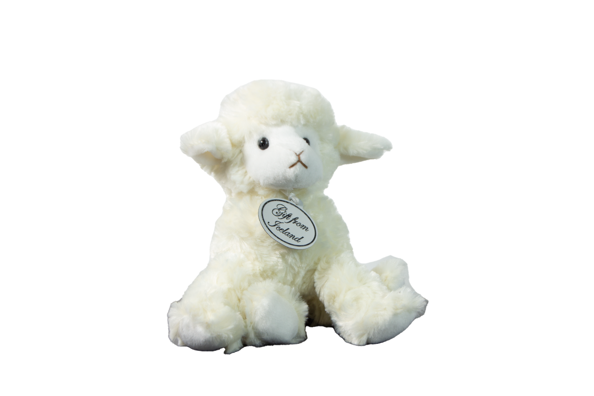 Lamb with Icelandic flag