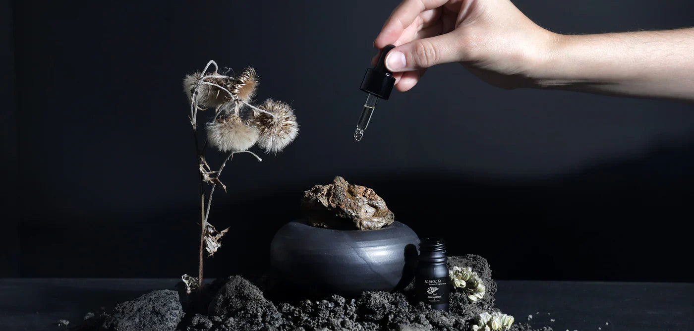 Home scent ilmker |  Fischersund x Rammagerðin